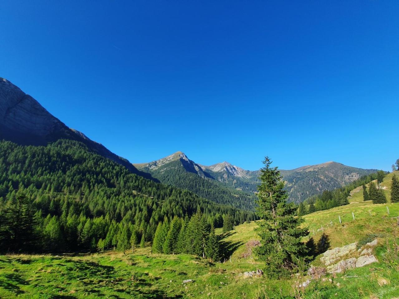 Haus Kraller-Urlaub Mit Seeblick Millstatt Exterior photo